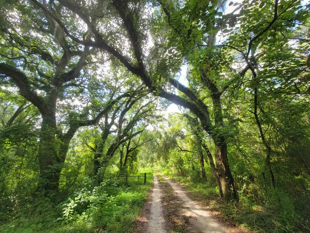 $395,000 | 15710 184th Street, O'Brien, FL 32071