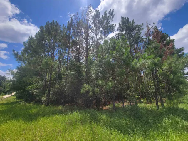 $395,000 | 15710 184th Street, O'Brien, FL 32071