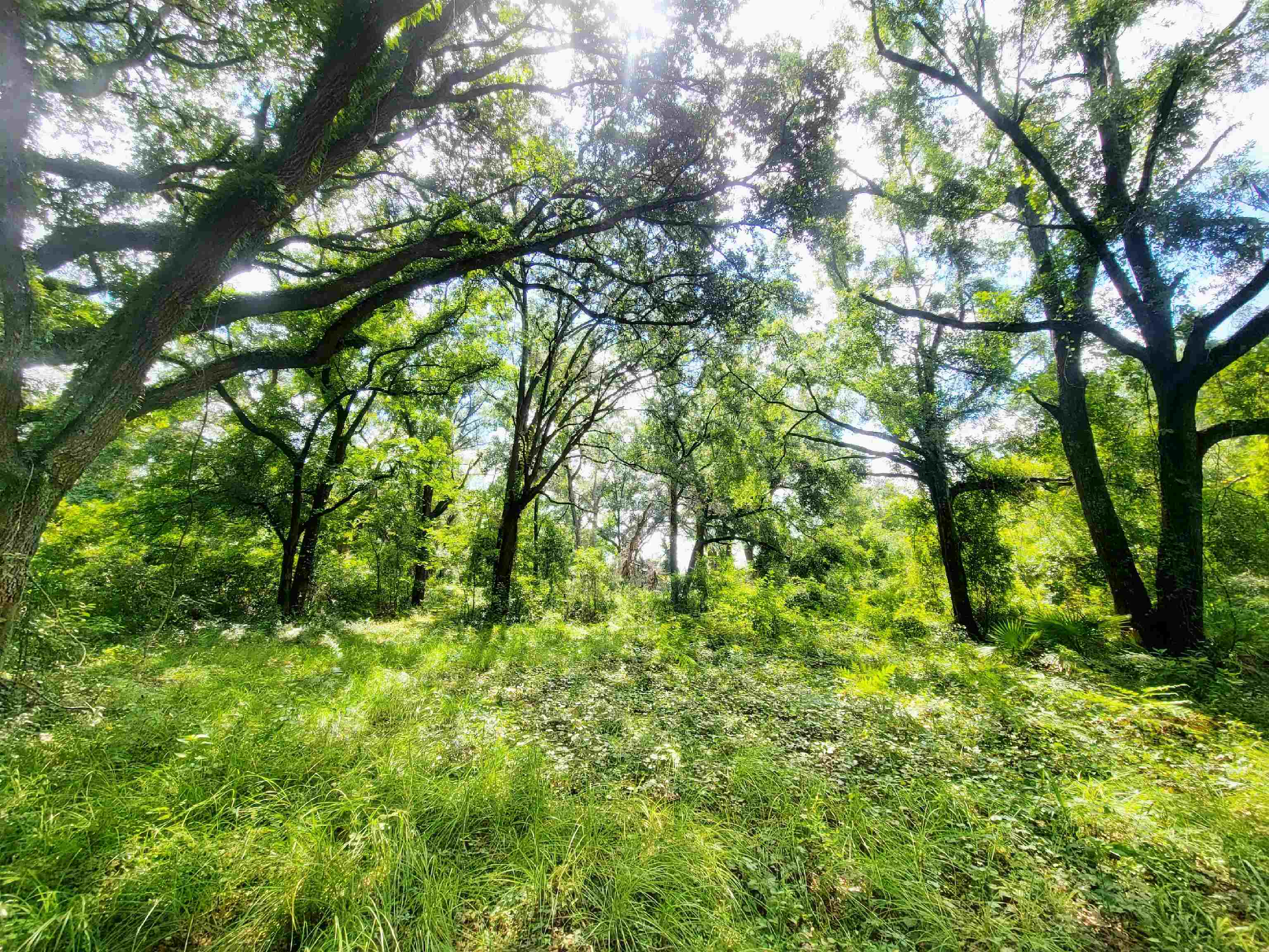 15710 184th Street O'Brien, FL 32071 - Photo 37 of 41