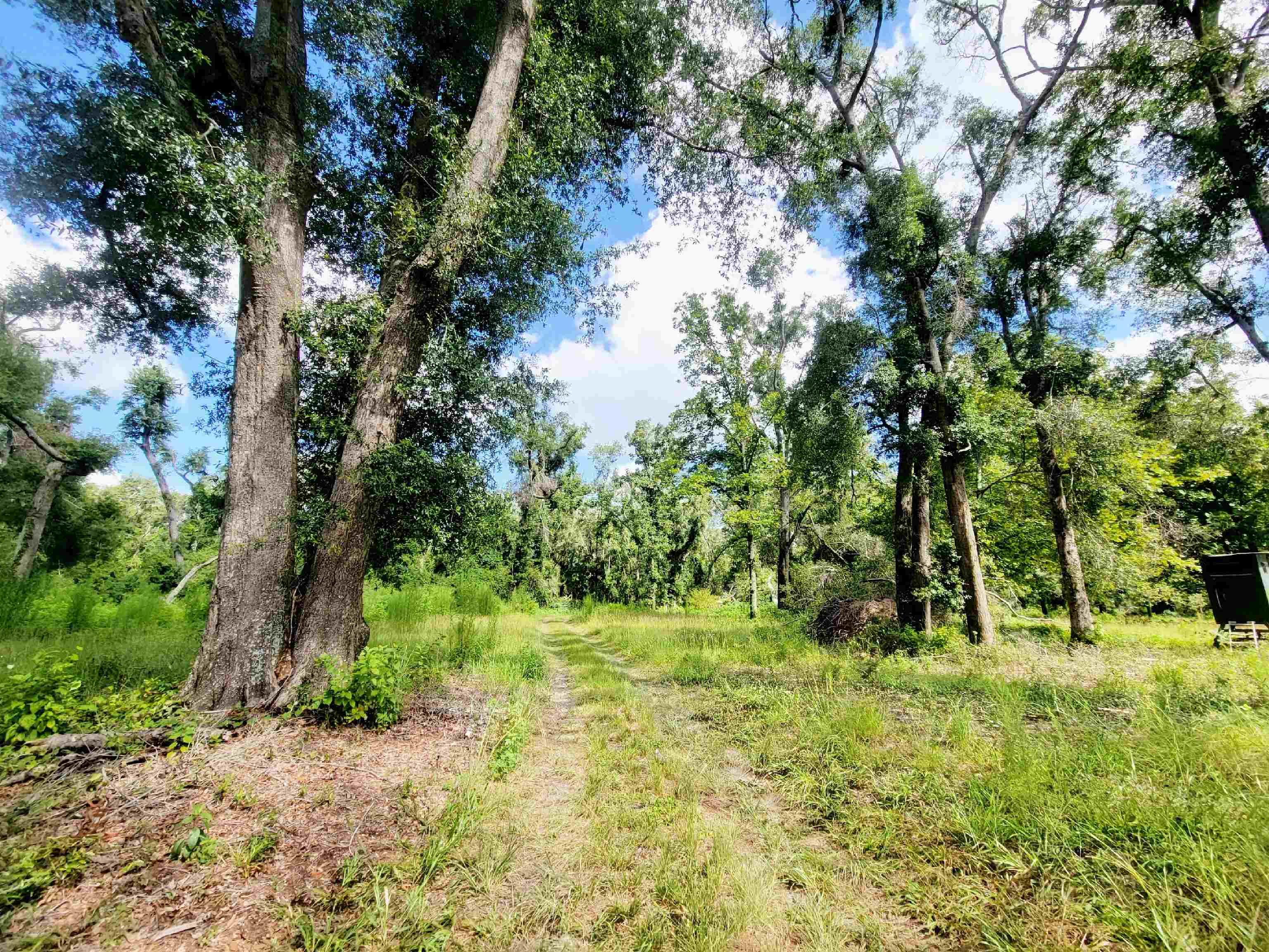 15710 184th Street O'Brien, FL 32071 - Photo 38 of 41