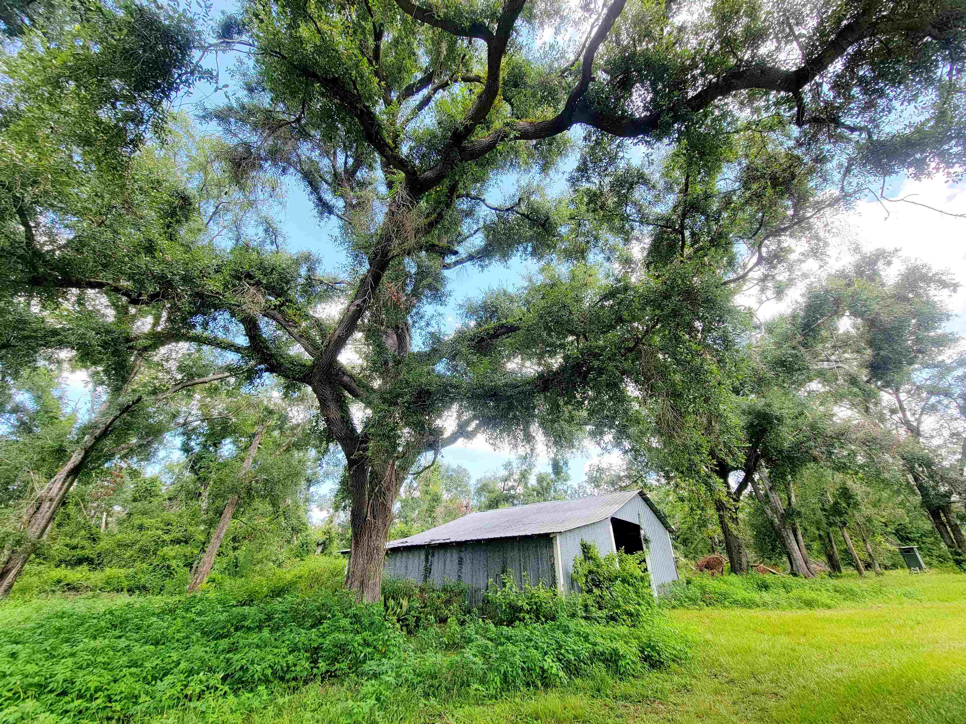 15710 184th Street O'Brien, FL 32071 - Photo 10 of 41