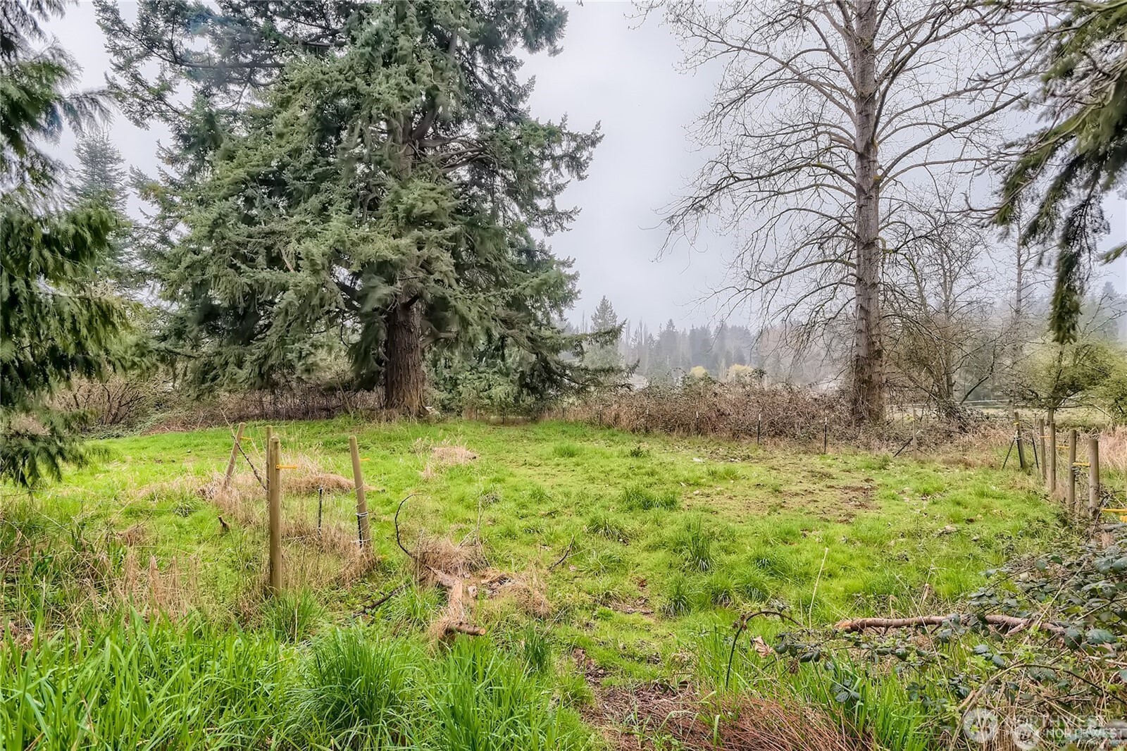 1710 Ludwig Road Snohomish, WA 98290 - Photo 11 of 19