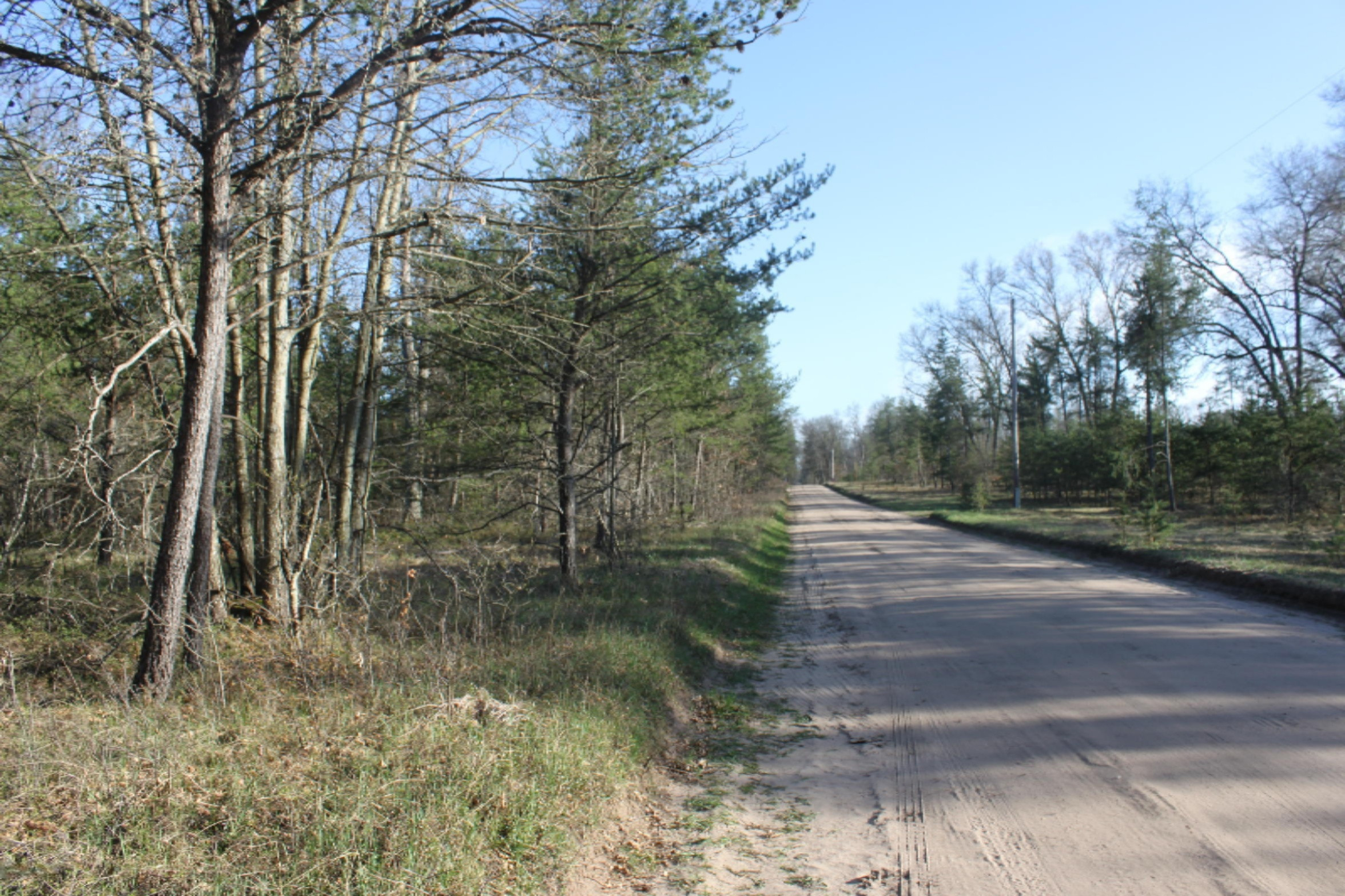 V/l North Forman Road Irons, MI 49644 - Photo 4 of 5 IMG_8767