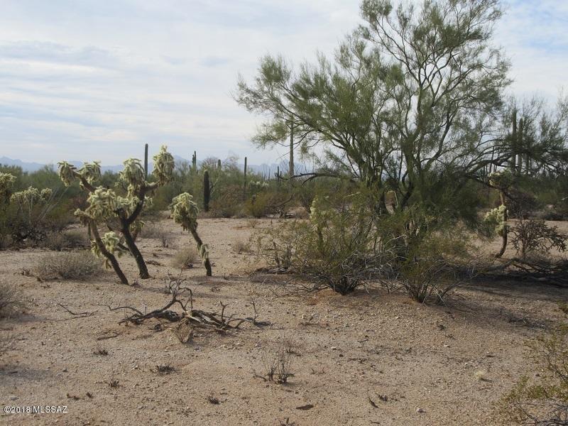 South Davis Ranch Road, Unit 5 Marana, AZ 85658 - Photo 10 of 14