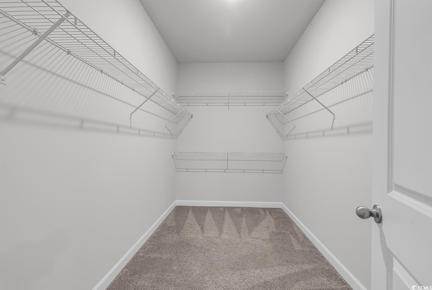 3104 Palma Way Myrtle Beach, SC 29579 - Photo 25 of 40 Spacious closet featuring light carpet