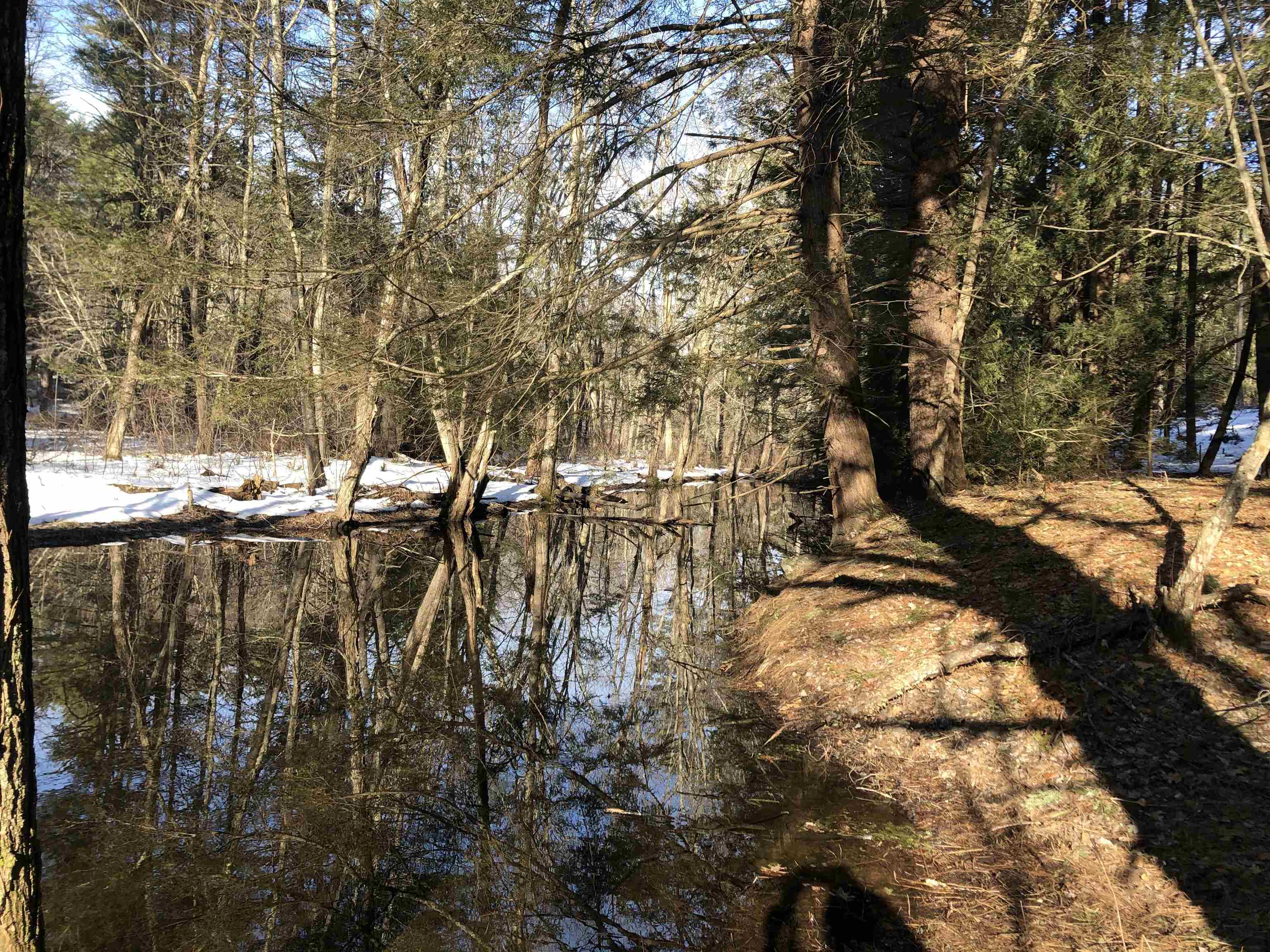 15 Good Way Epping, NH 03042 - Photo 8 of 40