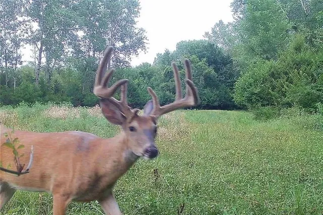 $199,000 | 0 Northwest 35th Street, Topeka, KS 66618