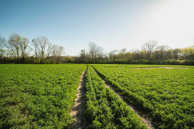 $199,000 | 0 Northwest 35th Street, Topeka, KS 66618