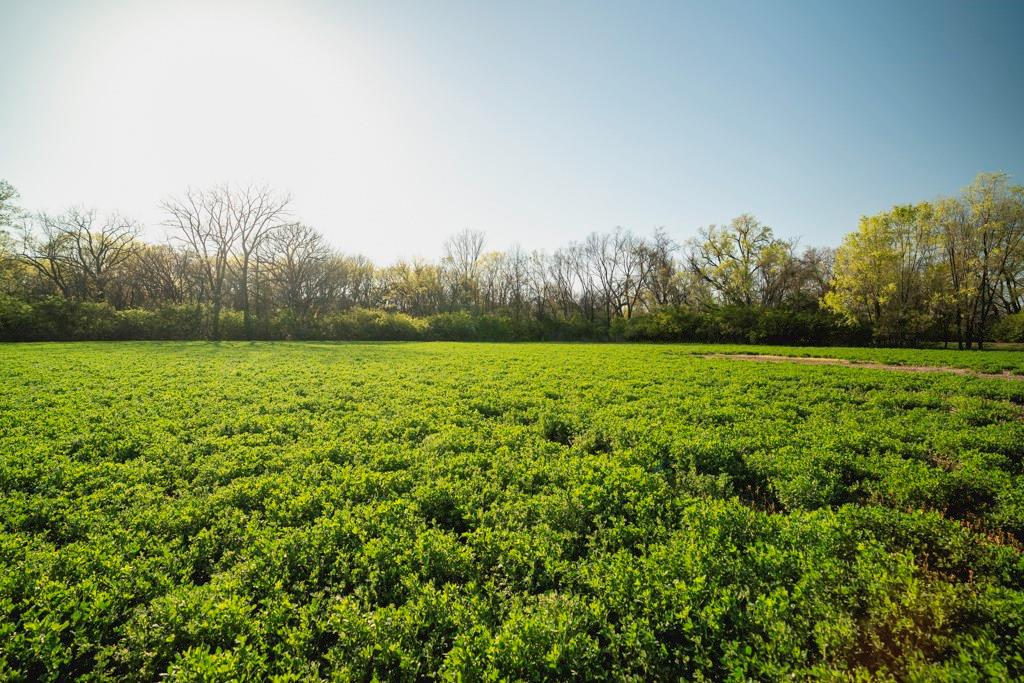 0 Northwest 35th Street Topeka, KS 66618 - Photo 14 of 43