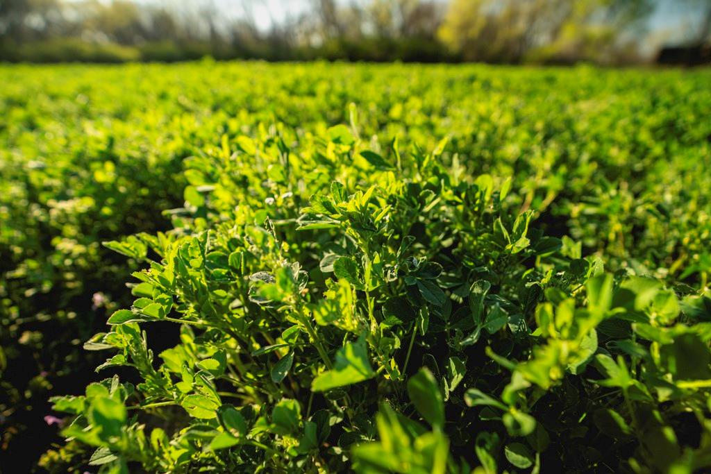 0 Northwest 35th Street Topeka, KS 66618 - Photo 15 of 43