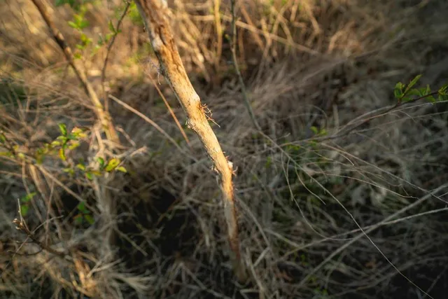 $199,000 | 0 Northwest 35th Street, Topeka, KS 66618