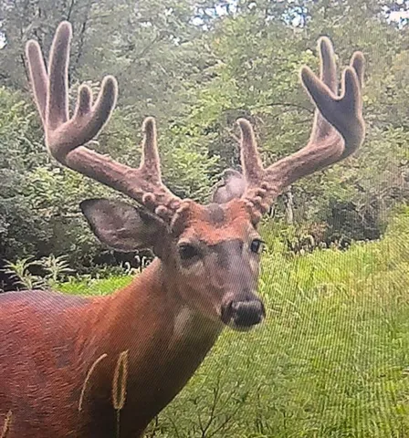 $199,000 | 0 Northwest 35th Street, Topeka, KS 66618