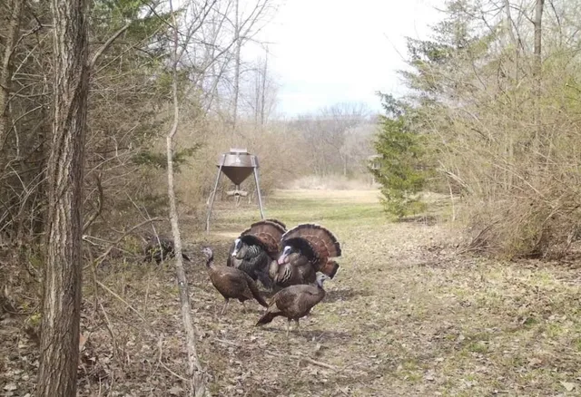 $199,000 | 0 Northwest 35th Street, Topeka, KS 66618