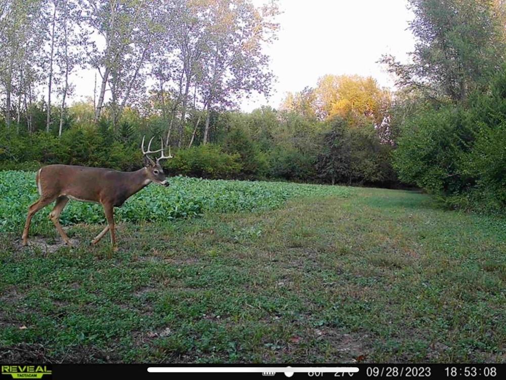0 Northwest 35th Street Topeka, KS 66618 - Photo 30 of 43