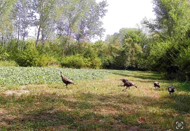 $199,000 | 0 Northwest 35th Street, Topeka, KS 66618