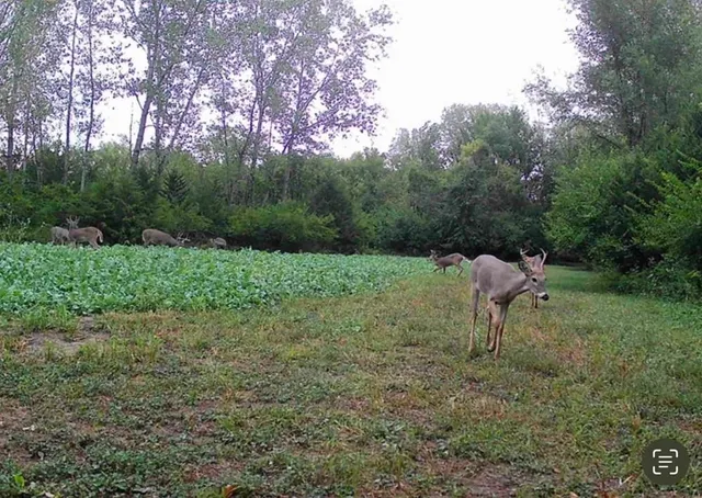 $199,000 | 0 Northwest 35th Street, Topeka, KS 66618