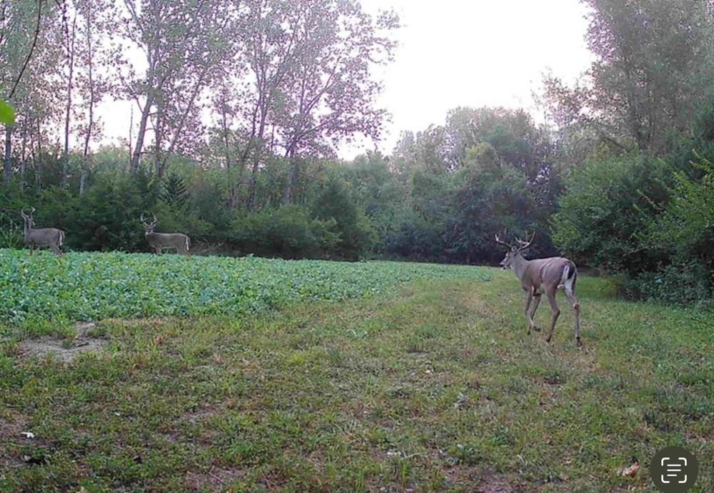 0 Northwest 35th Street Topeka, KS 66618 - Photo 33 of 43