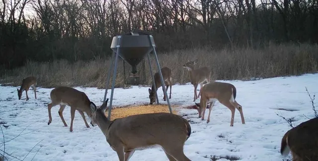 $199,000 | 0 Northwest 35th Street, Topeka, KS 66618