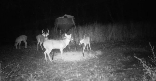 $199,000 | 0 Northwest 35th Street, Topeka, KS 66618