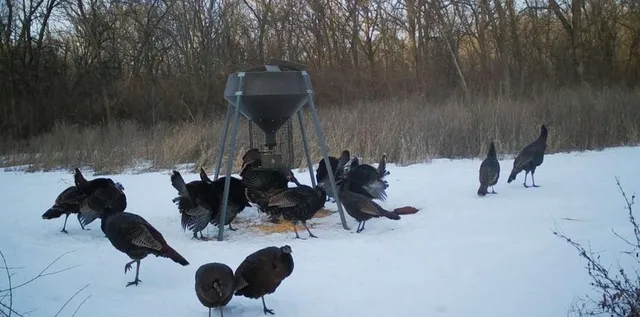 $199,000 | 0 Northwest 35th Street, Topeka, KS 66618