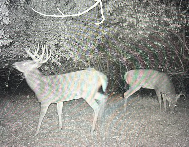 $199,000 | 0 Northwest 35th Street, Topeka, KS 66618