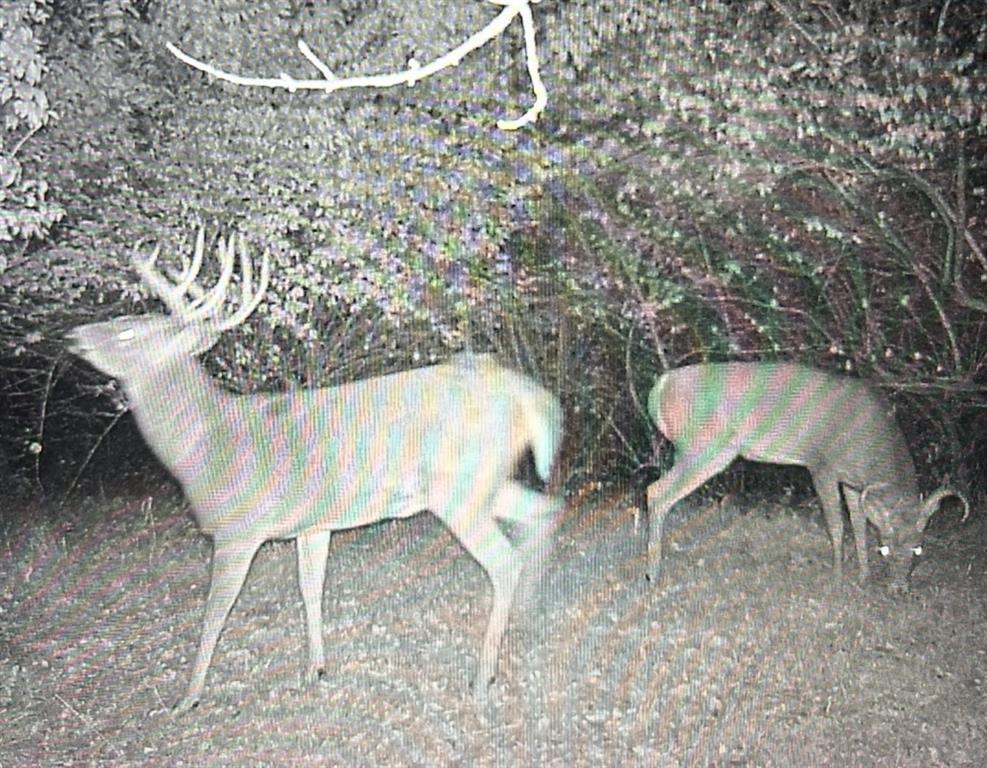 0 Northwest 35th Street Topeka, KS 66618 - Photo 38 of 43