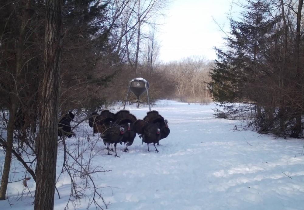 0 Northwest 35th Street Topeka, KS 66618 - Photo 41 of 43