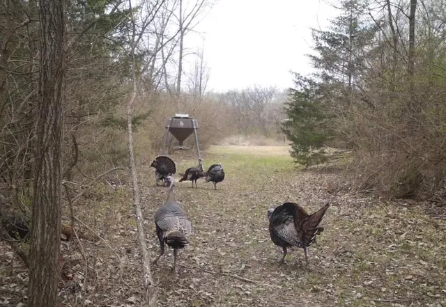 $199,000 | 0 Northwest 35th Street, Topeka, KS 66618