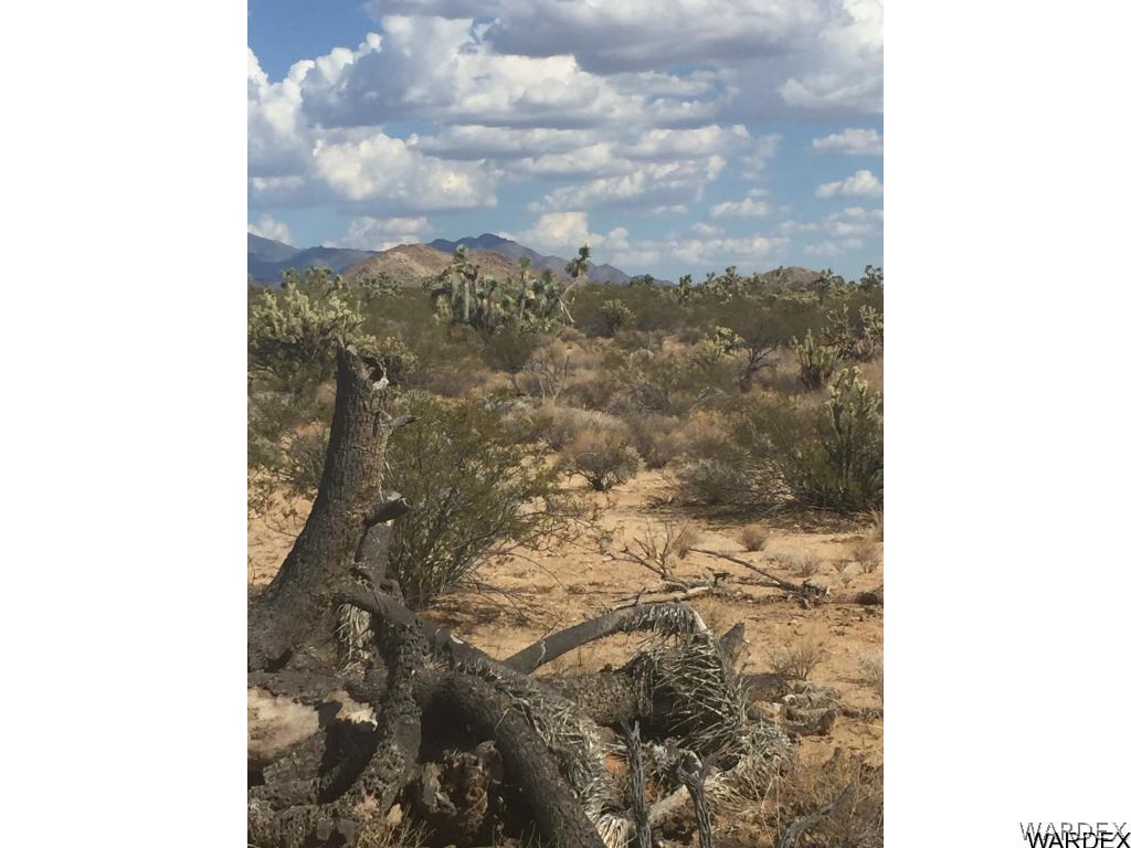14 Cliff Road Yucca, AZ 86438 - Photo 2 of 2