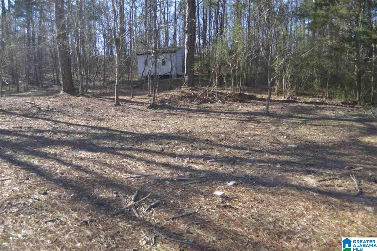 1845 Pelham Road South, Unit VACANT LOT Jacksonville, AL 36265 - Photo 5 of 11