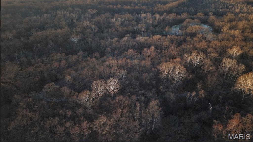 0 Hollywood Beach Road Arnold, MO 63010 - Photo 9 of 20