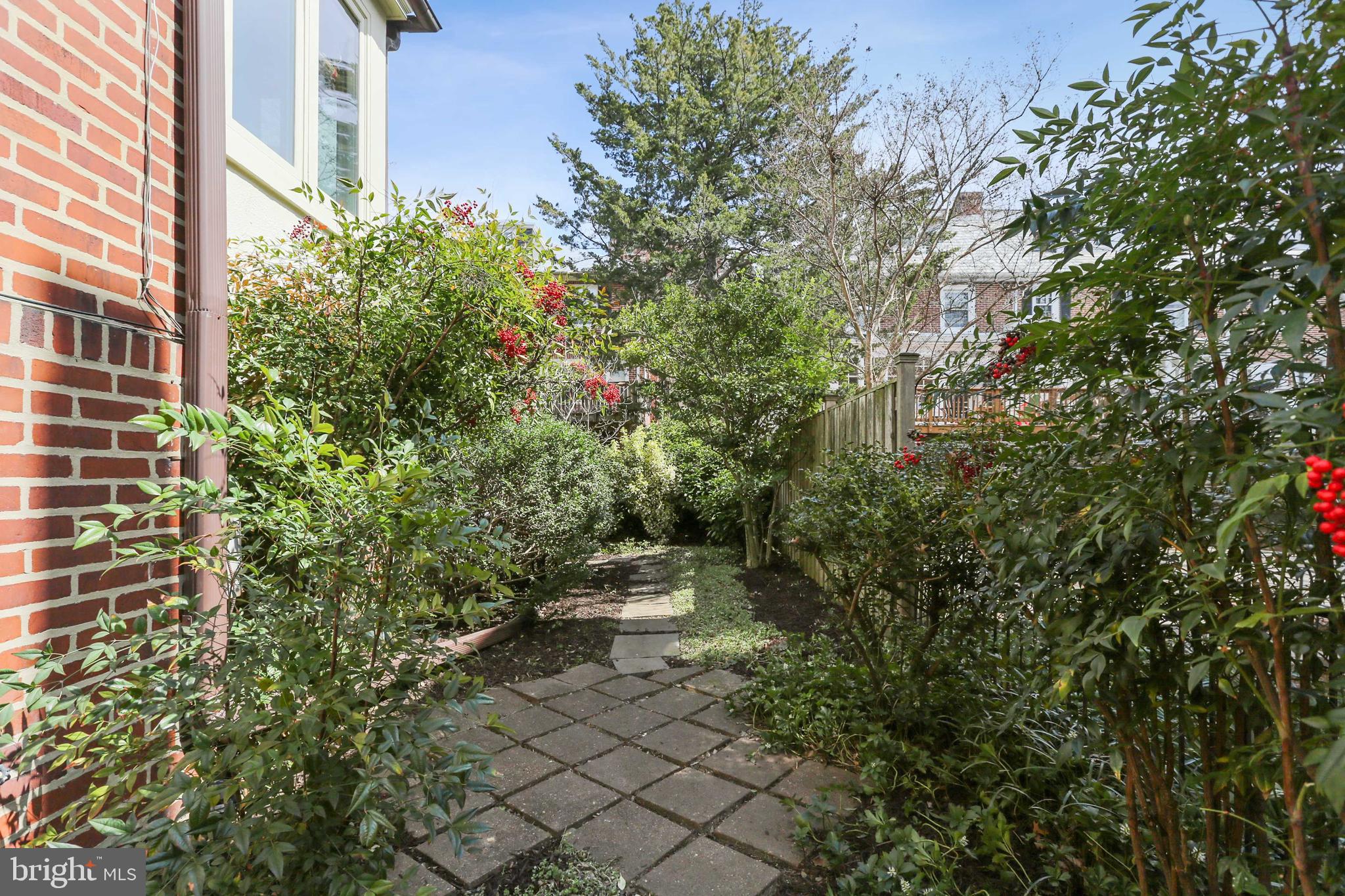 3929 Canterbury Road Baltimore, MD 21218 - Photo 41 of 46 Side Yard with Sedum and Flowering Bushes