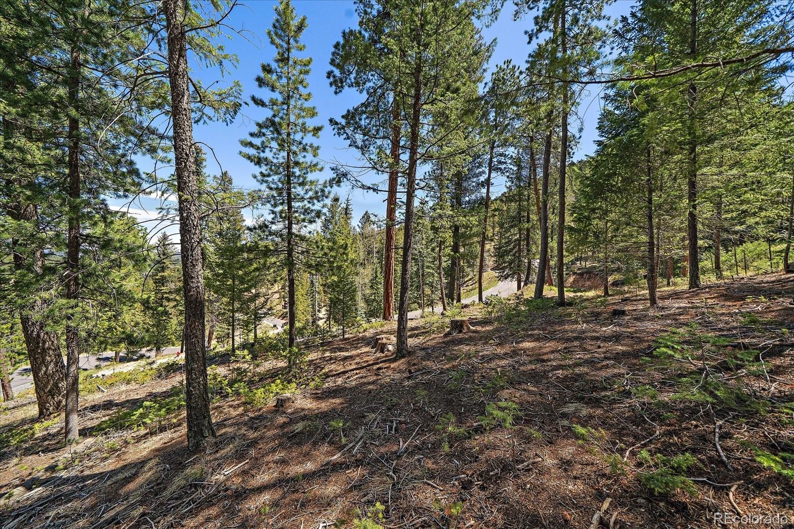 6855 Lynx Lair Road Evergreen, CO 80439 - Photo 18 of 21 a view of outdoor space with trees