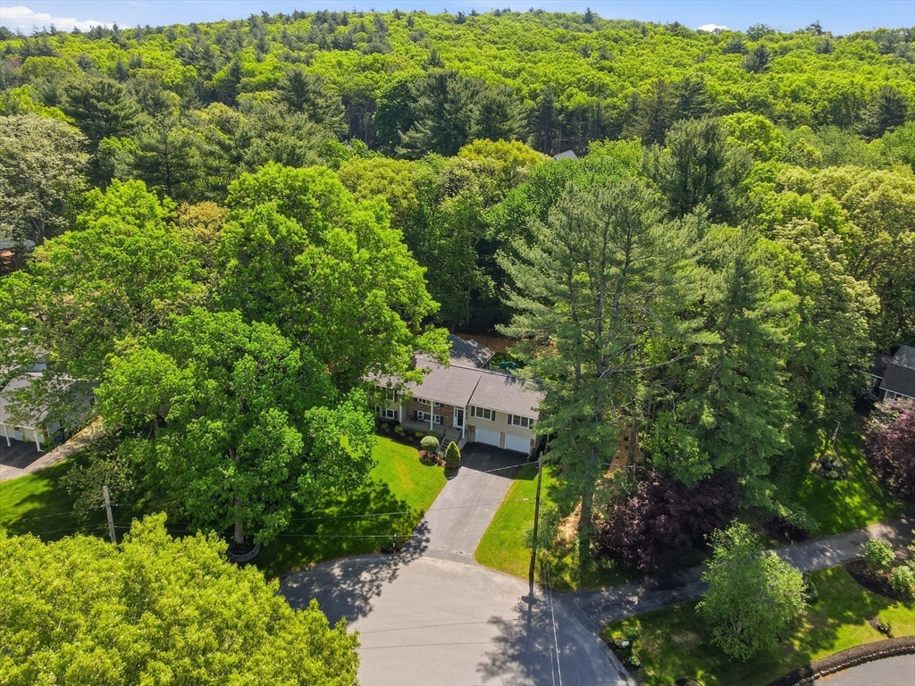 22 Longmeadow Drive Canton, MA 02021 - Photo 41 of 42