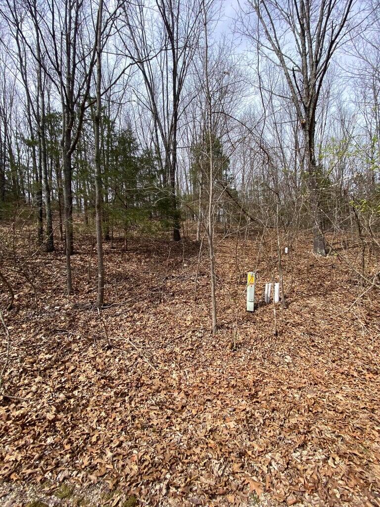 0 Westgate Lane Reeds Spring, MO 65737 - Photo 7 of 10 phone & water or septic