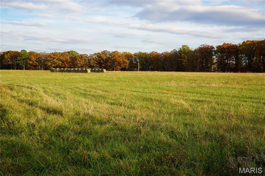 Tbd State Rte KK St. James, MO 65559 - Photo 3 of 9