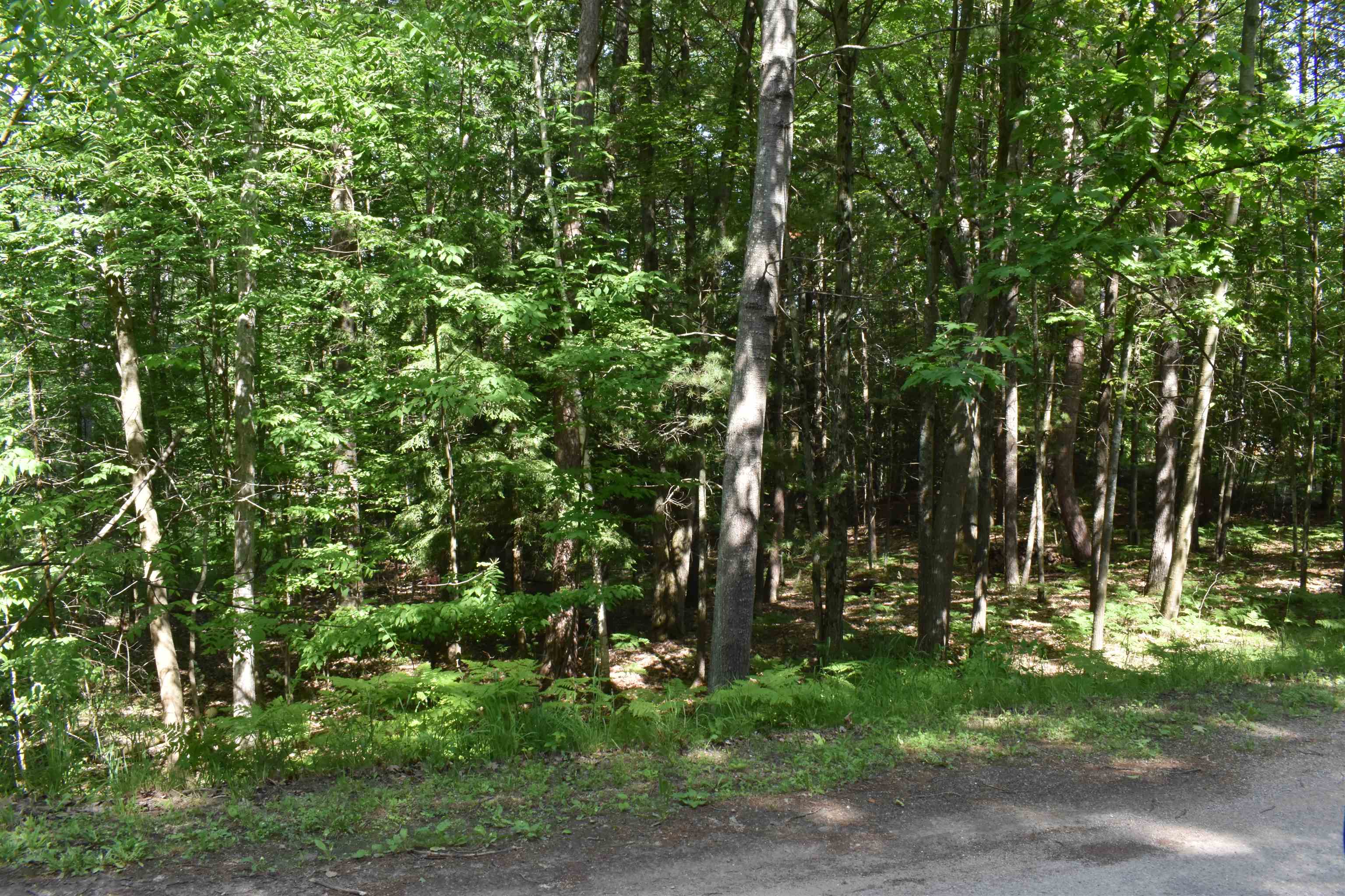 Lot 196 Princess Way Gladwin, MI 48624 - Photo 4 of 12