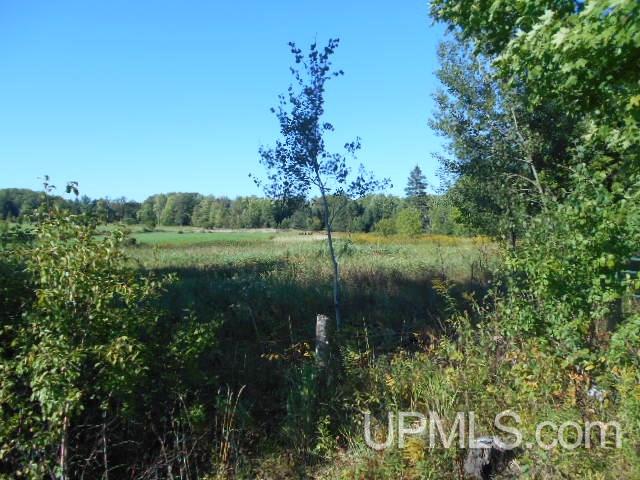 Tbd Miller Road Florence, WI 54121 - Photo 20 of 24