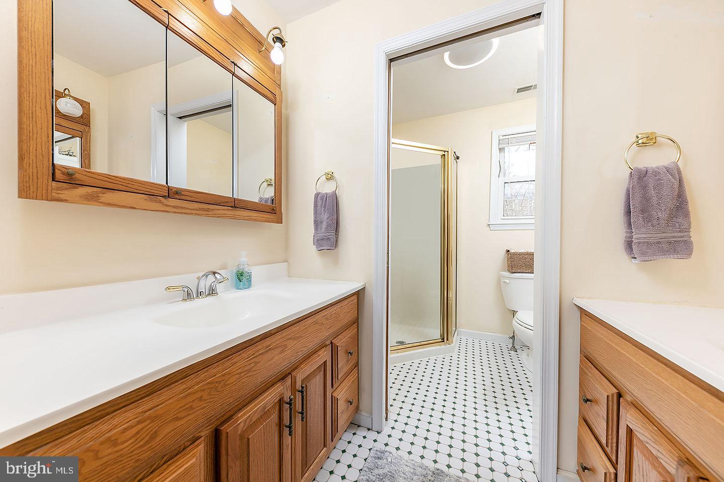 172 Oxford Road Delran, NJ 08075 - Photo 10 of 18 Master Bathroom