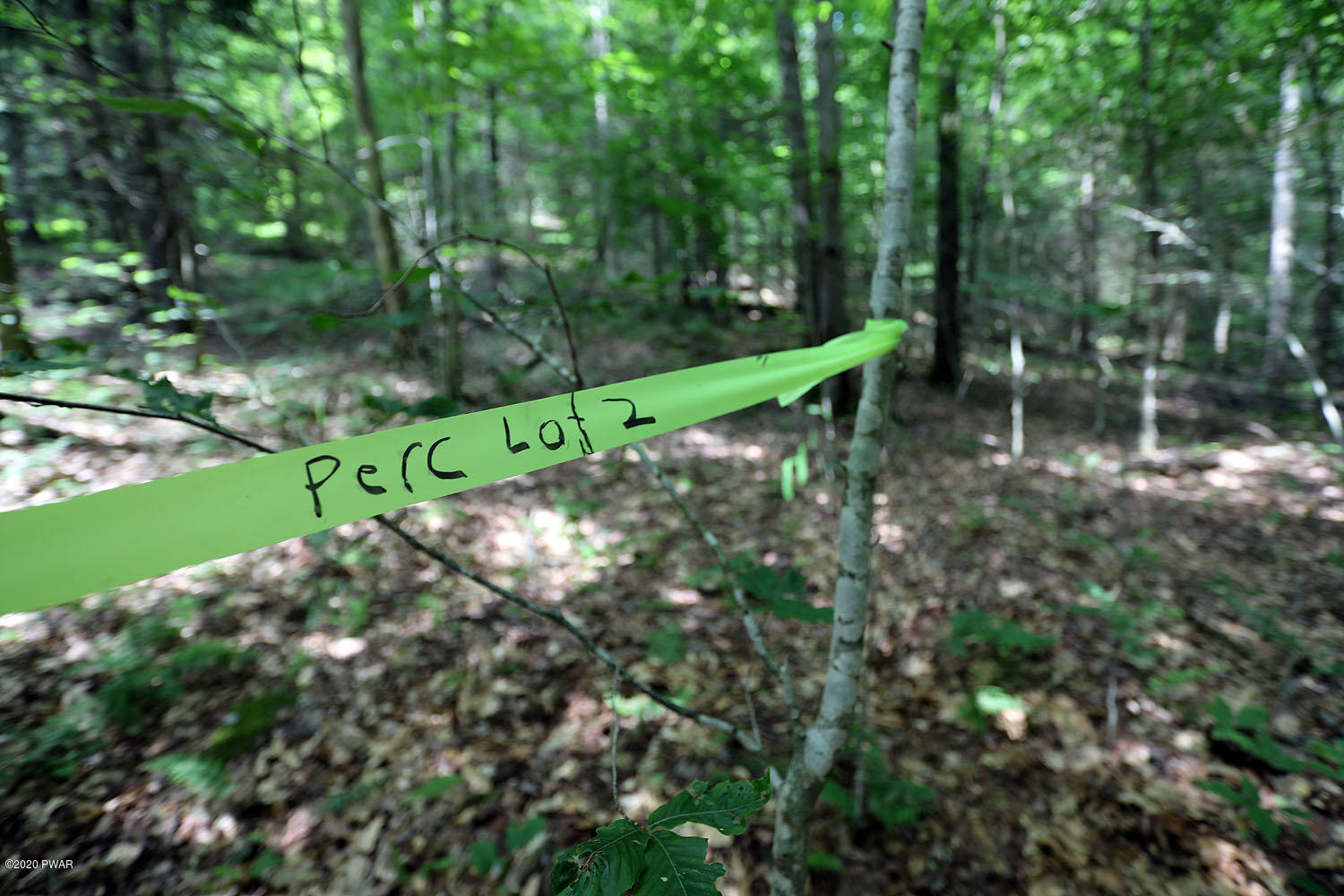 0 Minckler Mountain Road Equinunk, PA 18417 - Photo 38 of 39