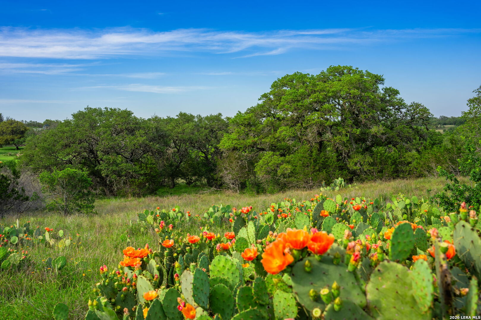 190 A Richter Road Boerne, TX 78006 - Photo 8 of 50
