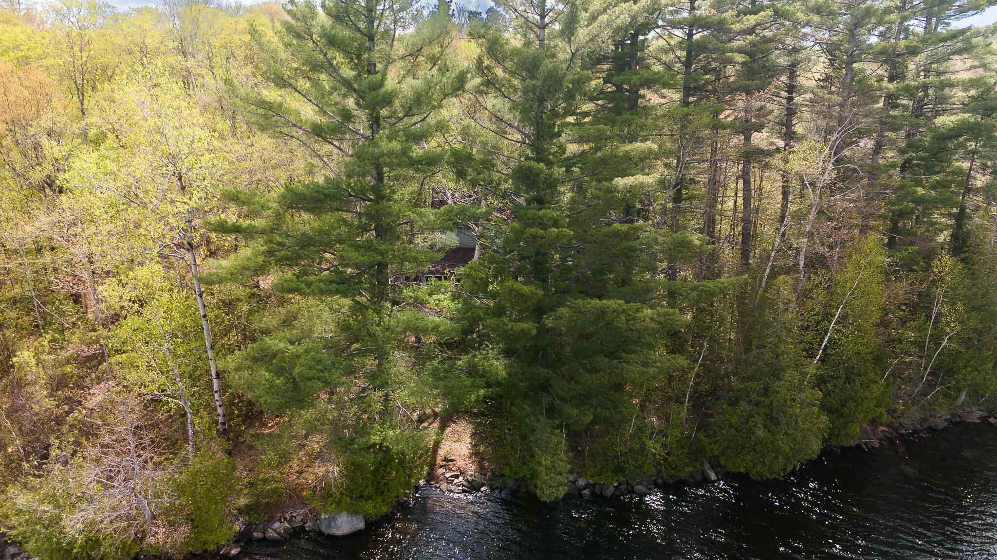 118 Camp Comfort Road Monson, ME 04464 - Photo 36 of 46 DJI_20240515152813_0052_D