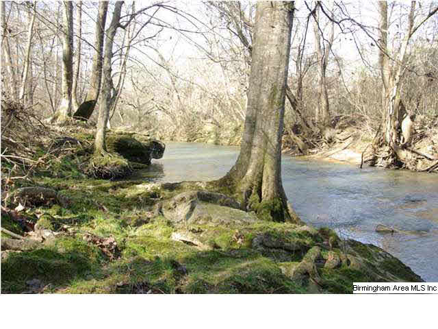 2 Horton Mill Road, Unit 2 Cleveland, AL 35049 - Photo 20 of 28