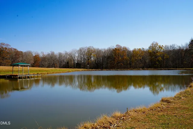 a view of a yard with an trees