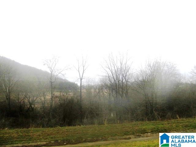 0 Spunky Hollow Road, Unit 98 ACRES Remlap, AL 35133 - Photo 3 of 4