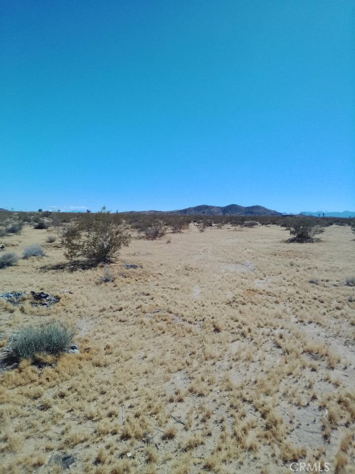 60731 Summers Road Landers, CA 92285 - Photo 2 of 6