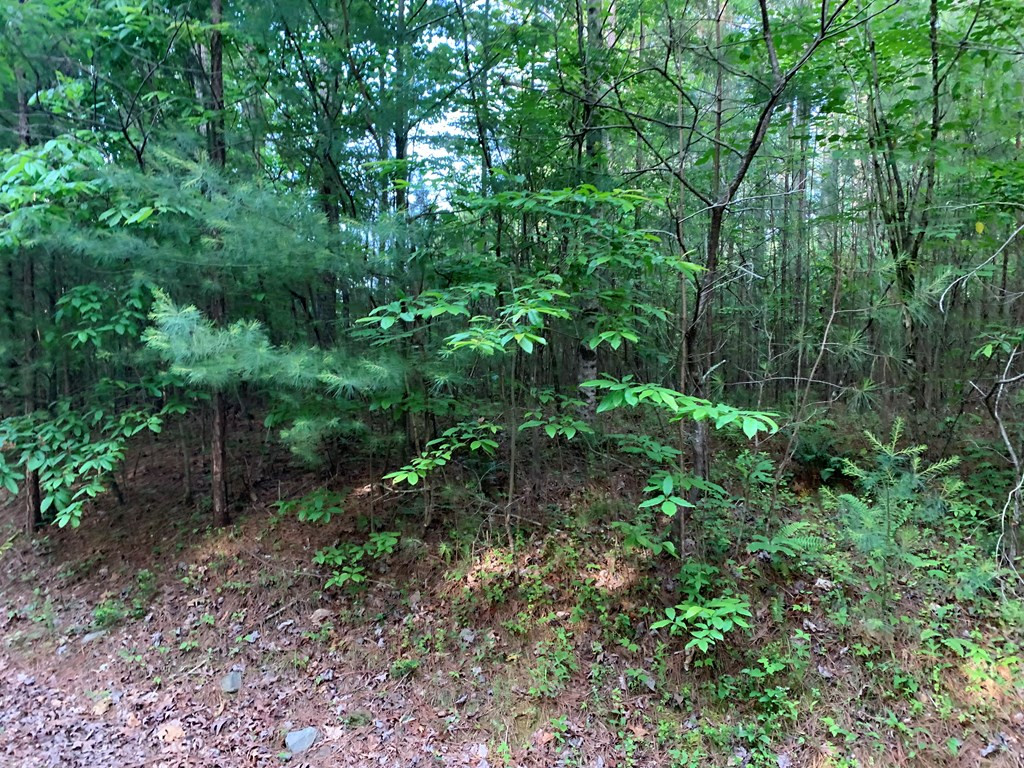 Lot 43 Kestrel Ridge Circle Murphy, NC 28906 - Photo 12 of 24 Gallery Image 12