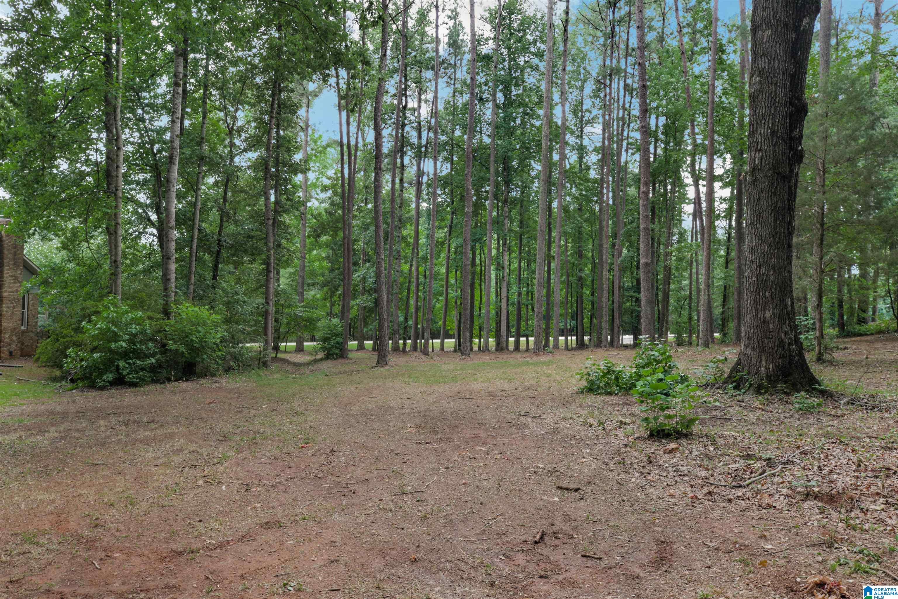 6121 Rock Mountain Lake Road McCalla, AL 35111 - Photo 21 of 34