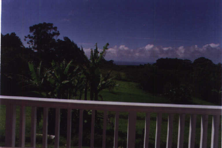 520 Kaupakalua Road Haiku, HI 96708 - Photo 1 of 1