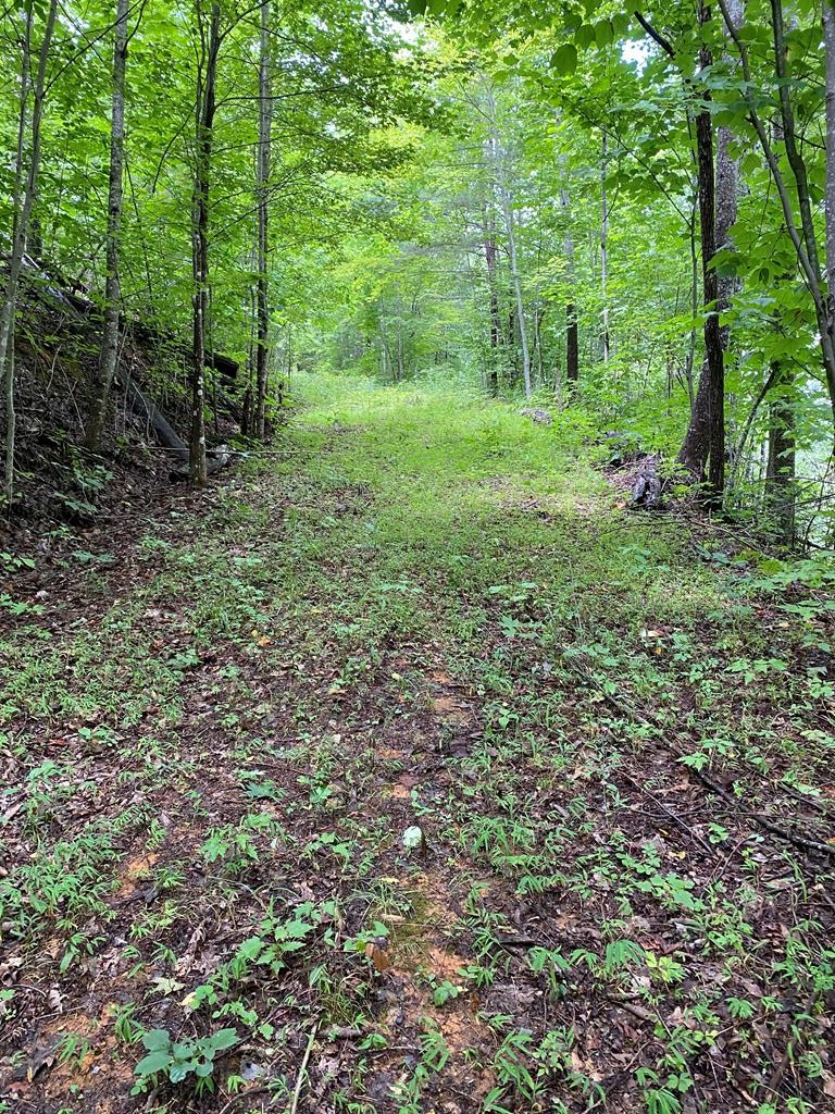 25 Fox Hunters Way Sevierville, TN 37876 - Photo 1 of 8